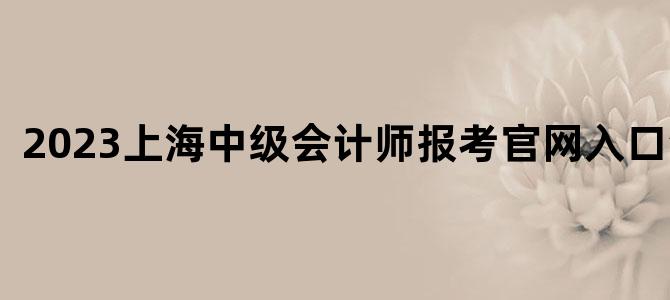 '2023上海中级会计师报考官网入口查询'