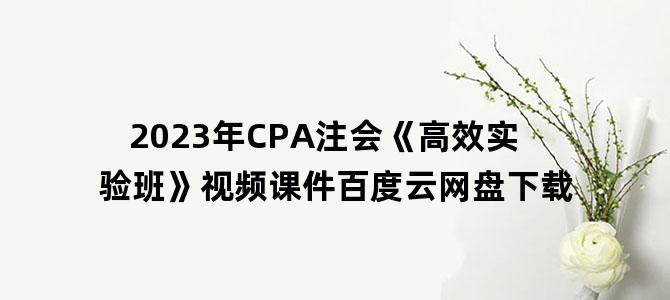 '2023年CPA注会《高效实验班》视频课件百度云网盘下载'