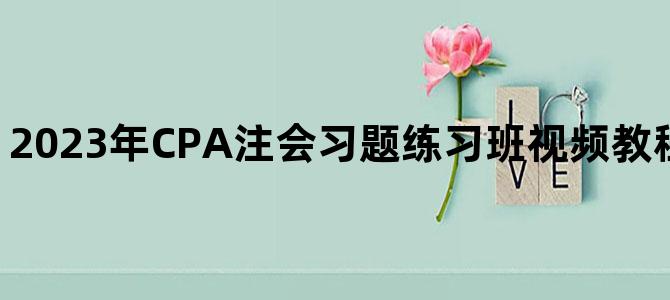 '2023年CPA注会习题练习班视频教程百度云网盘下载'