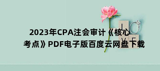 '2023年CPA注会审计《核心考点》PDF电子版百度云网盘下载'