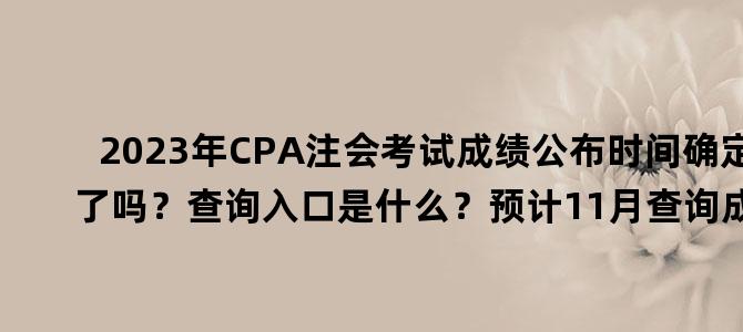 '2023年CPA注会考试成绩公布时间确定了吗？查询入口是什么？预计11月查询成绩'
