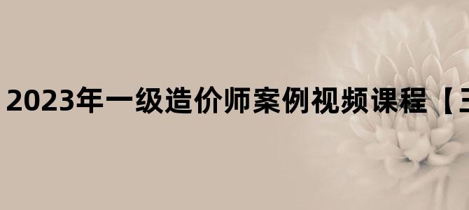 '2023年一级造价师案例视频课程【王兴宇+赵智录】'