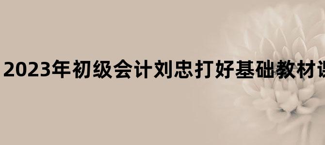 '2023年初级会计刘忠打好基础教材课程百度网盘下载'