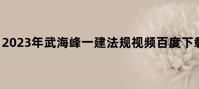 '2023年武海峰一建法规视频百度下载【强化精讲班】'