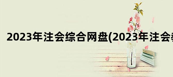 '2023年注会综合网盘(2023年注会教材)'