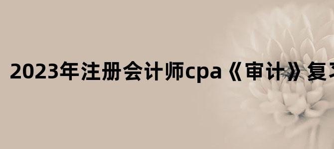 '2023年注册会计师cpa《审计》复习资料.pdf'