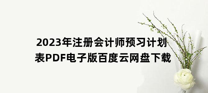 '2023年注册会计师预习计划表PDF电子版百度云网盘下载'