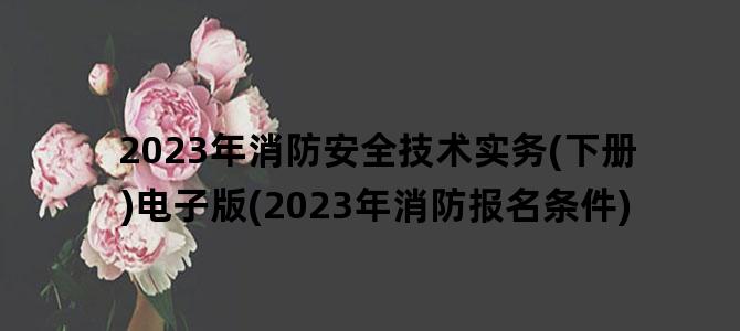 '2023年消防安全技术实务(下册)电子版(2023年消防报名条件)'