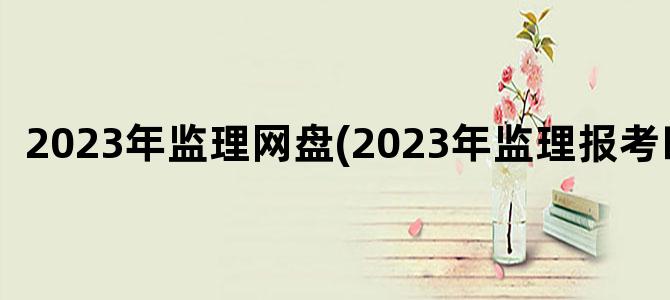 '2023年监理网盘(2023年监理报考时间)'