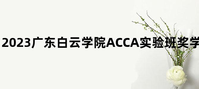'2023广东白云学院ACCA实验班奖学金设置！考生速看！'