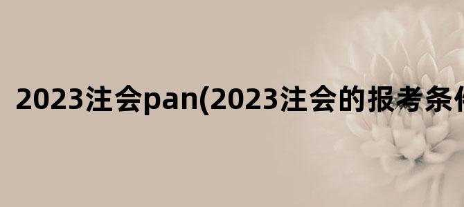 '2023注会pan(2023注会的报考条件是什么)'
