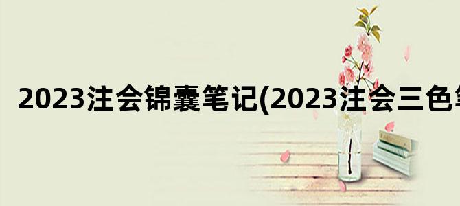 '2023注会锦囊笔记(2023注会三色笔记)'