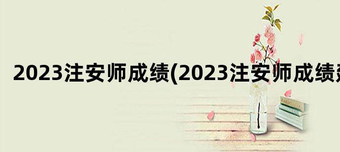 '2023注安师成绩(2023注安师成绩延期)'