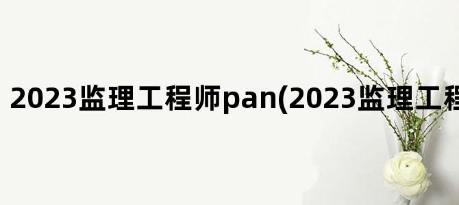 '2023监理工程师pan(2023监理工程师教材电子版)'