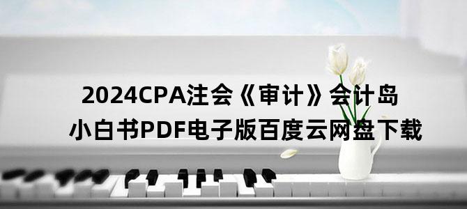 '2024CPA注会《审计》会计岛小白书PDF电子版百度云网盘下载'