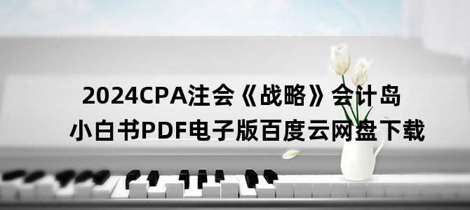 '2024CPA注会《战略》会计岛小白书PDF电子版百度云网盘下载'