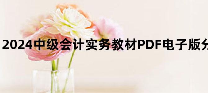 '2024中级会计实务教材PDF电子版分享百度云网盘下载'