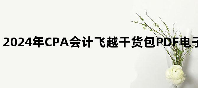 '2024年CPA会计飞越干货包PDF电子版百度云网盘下载'