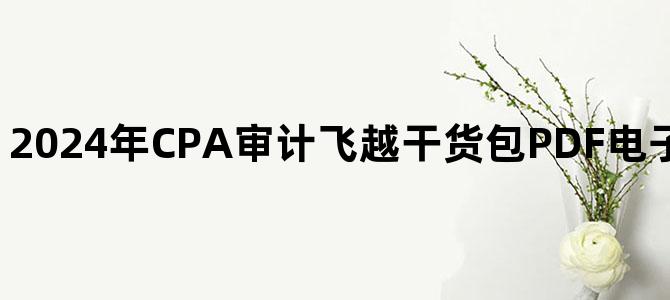 '2024年CPA审计飞越干货包PDF电子版百度云网盘下载'