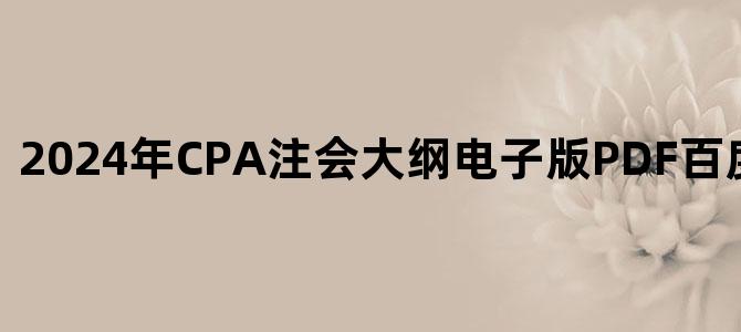 '2024年CPA注会大纲电子版PDF百度云网盘下载'