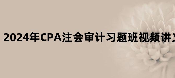 '2024年CPA注会审计习题班视频讲义百度网盘下载'