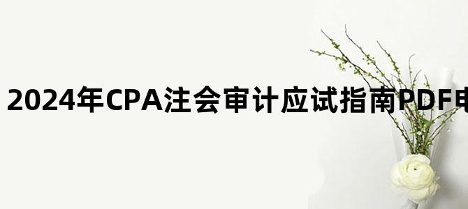 '2024年CPA注会审计应试指南PDF电子书百度网盘下载'