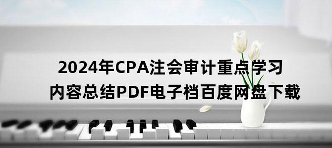 '2024年CPA注会审计重点学习内容总结PDF电子档百度网盘下载'