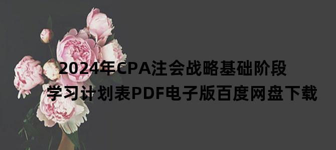 '2024年CPA注会战略基础阶段学习计划表PDF电子版百度网盘下载'