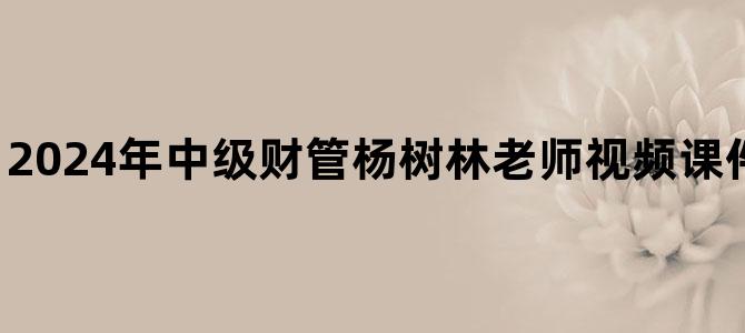 '2024年中级财管杨树林老师视频课件百度云网盘下载'