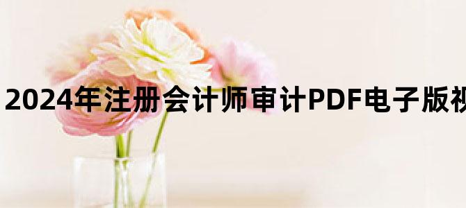 '2024年注册会计师审计PDF电子版视频讲义百度云下载'