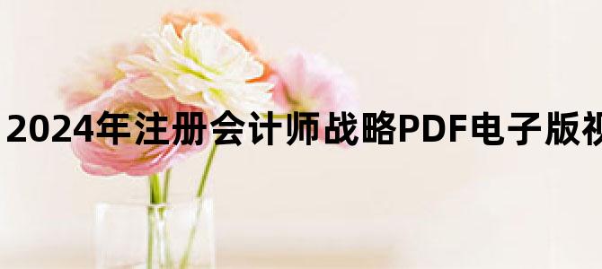 '2024年注册会计师战略PDF电子版视频讲义百度云下载'