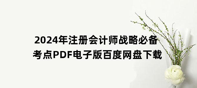 '2024年注册会计师战略必备考点PDF电子版百度网盘下载'