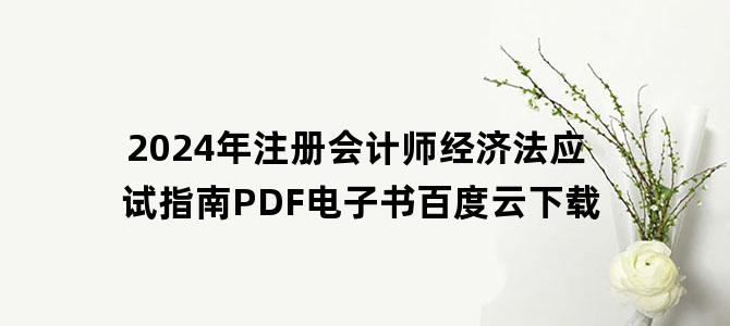 '2024年注册会计师经济法应试指南PDF电子书百度云下载'