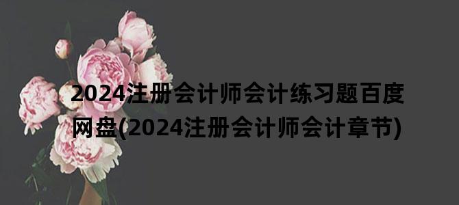 '2024注册会计师会计练习题百度网盘(2024注册会计师会计章节)'