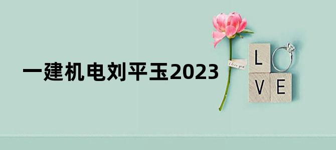 一建机电刘平玉2023