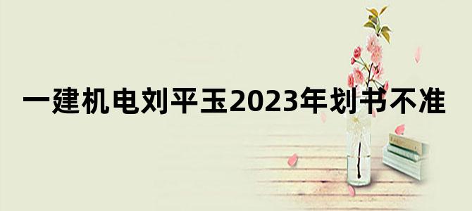 一建机电刘平玉2023年划书不准