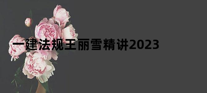 一建法规王丽雪精讲2023