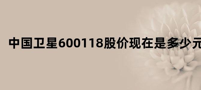 中国卫星600118股价现在是多少元钱