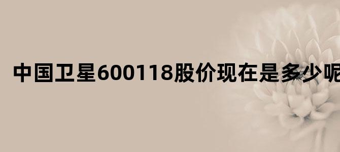 中国卫星600118股价现在是多少呢知乎
