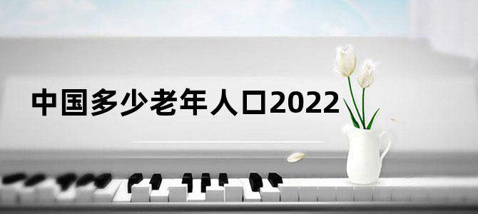 中国多少老年人口2022