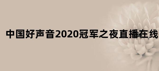 中国好声音2020冠军之夜直播在线观看