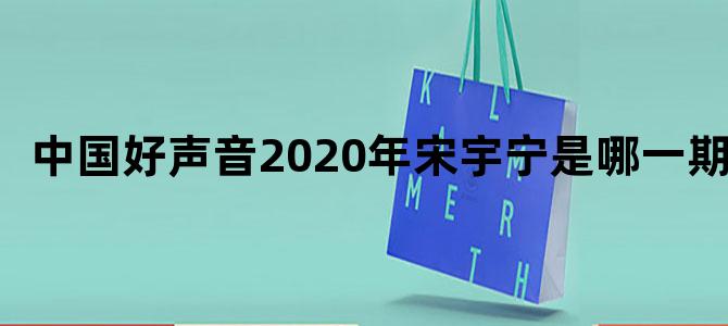 中国好声音2020年宋宇宁是哪一期