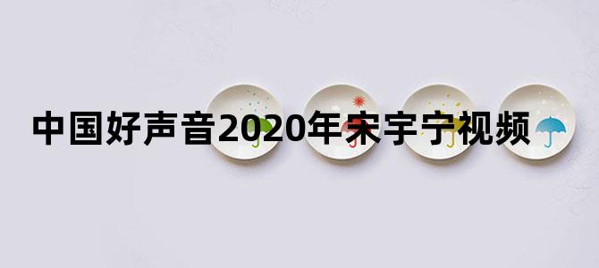 中国好声音2020年宋宇宁视频