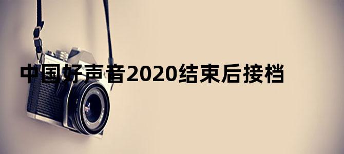 中国好声音2020结束后接档