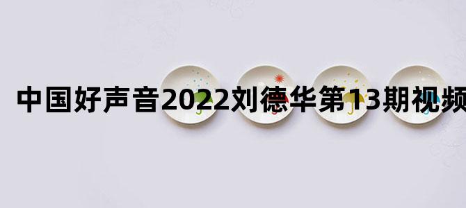 中国好声音2022刘德华第13期视频完整版