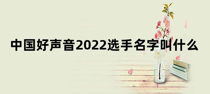 中国好声音2022选手名字叫什么