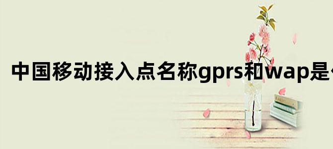 中国移动接入点名称gprs和wap是什么意思