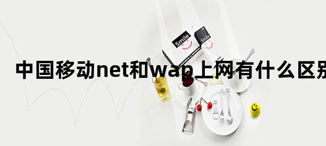 中国移动net和wap上网有什么区别