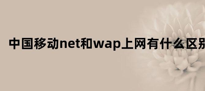 中国移动net和wap上网有什么区别吗