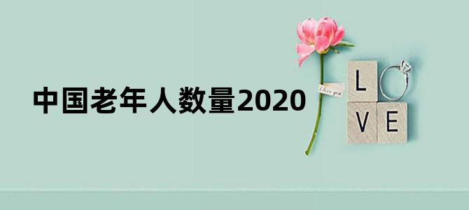 中国老年人数量2020